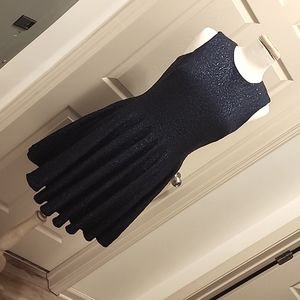 Cynthia Steffe Navy Blue Full Sequin A-Line Dress, Size 8